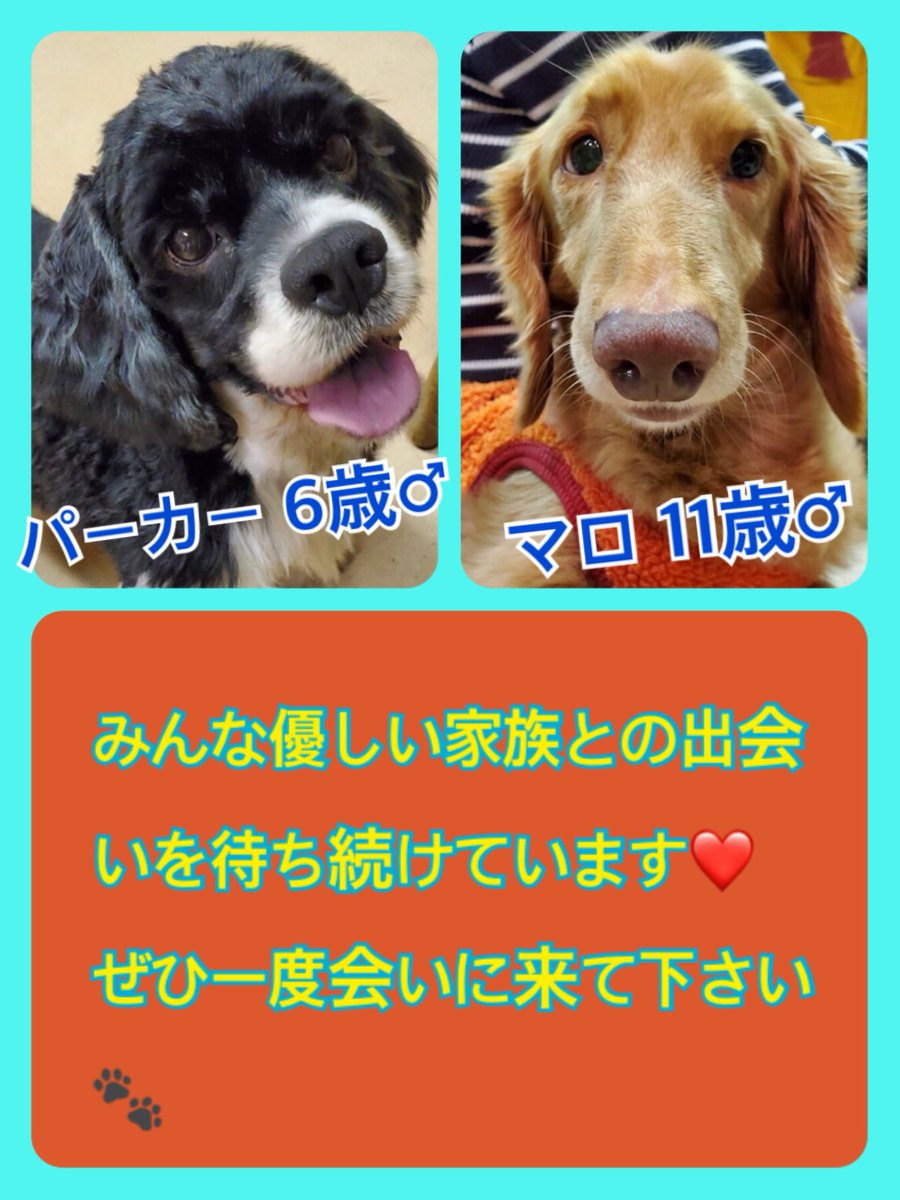 2019,11,28